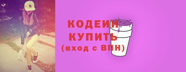 шишки Горняк