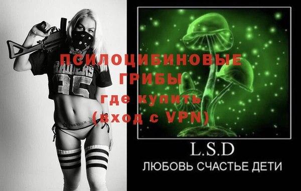 шишки Горняк