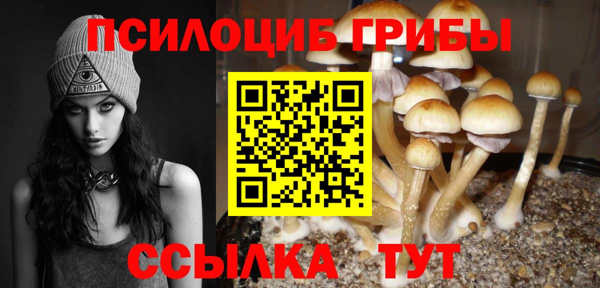 Псилоцибиновые грибы MAGIC MUSHROOMS  где можно купить   Апатиты  Вход с VPN 