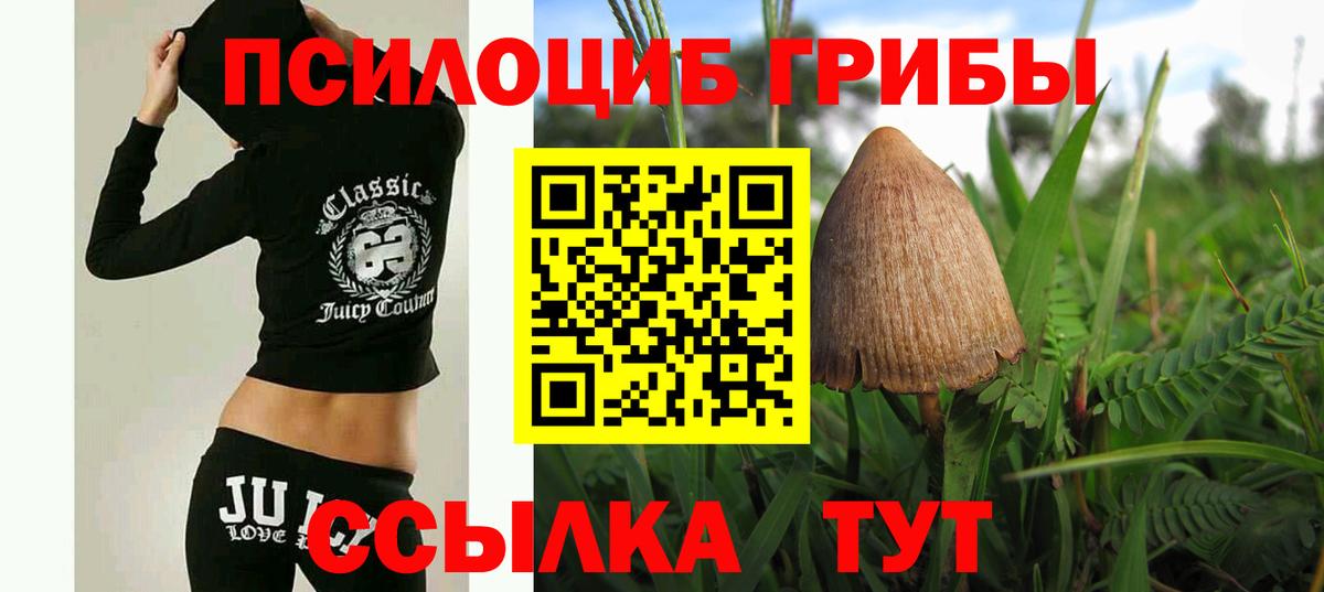 Апатиты  Псилоцибиновые грибы Psilocybine cubensis  Вход с VPN 